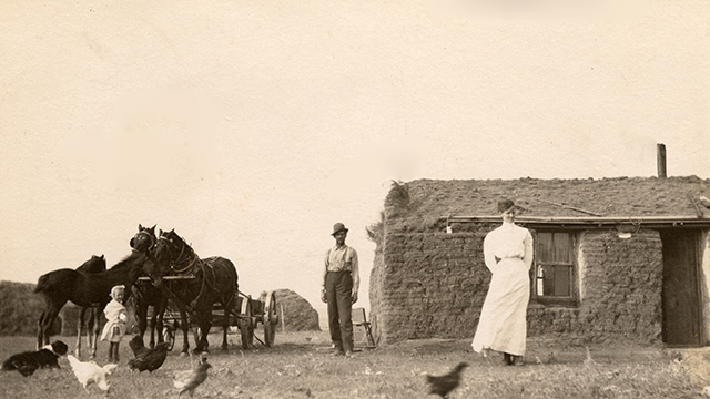 Download a zipped file of promotional materials in the Additional Assets section below